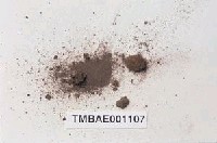 藏品(叢毛苔)的圖片